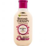 Garnier Botanic Therapy Ricinus Oil Shampoo Fortificante 250ml