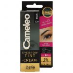 Delia Cosmetics Cameleo Coloração Cremosa para Sobrancelhas Tom 1.0 Black 15ml