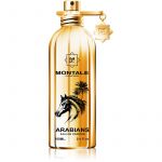 Montale Arabians Eau de Parfum 100ml (Original)