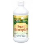 Solaray Sunny Green Liquid Chlorophyll 480ml
