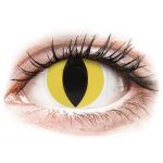 Maxvue Vision Lentes Coloridas sem Correção ColourVUE Crazy Lens Tom Cat Eye 2 lentes