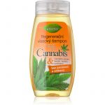 Bione Cosmetics Cannabis Shampoo Regenerador 260ml