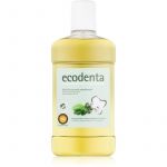 Ecodenta Green Multifunctional Elixir Bocal 500ml