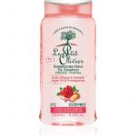 Le Petit Olivier Argan Oil & Pomegranate Shampoo Proteção Cabelo Pintado 250ml