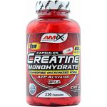 Amix Creatine Monohydrate 220 Cápsulas
