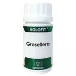 Equisalud Holofit Groselheiro 60 Cápsulas