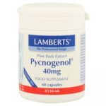 Lamberts Pycnogenol 60 Cápsulas de 40mg