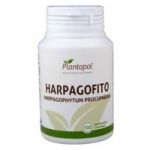 Plantapol Harpagophytum 100 comprimidos