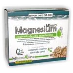 Pinisan Mineraline Magnesium 60 Cápsulas Vegetais