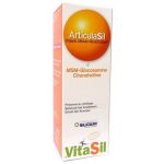 Vitasil Articulasil + MSM + Glucosamina + Condroitina 225ml