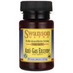 Swanson Anti-Gas Enzyme 123mg 90 Cápsulas