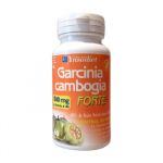 Ynsadiet Garcinia Cambogia Forte 1500mg 60 Comprimidos