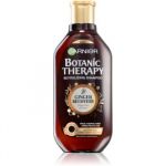 Garnier Botanic Therapy Ginger Recovery Shampoo 400ml