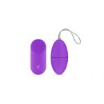 Easy Toys Vibrating Egg With Remote Control Purple