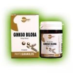 Waydiet Natural Products Ginkgo Biloba Phytogranulos 45 Cápsulas