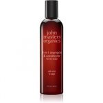 John Masters Organics Zinc & Sage Shampoo e Condicionador 2 em 1