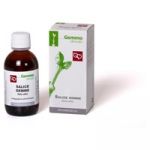 Fitomedical Salice Gemme Mg 200ml