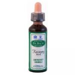 Ainsworths Flower Remedy Recovery Plus 20ml