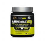 Healthy Fusion Aminomax X9 BCAA 100% Melancia 30 Doses