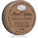 theBalm Anne T. Dotes® Concealer Corretor Anti-vermelhidão Tom #42 9g