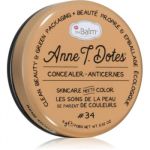theBalm Anne T. Dotes® Concealer Corretor Anti-vermelhidão Tom #34 9g