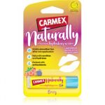 Carmex Berry Bálsamo Hidratante Lábios em Stick 4.25 g