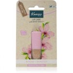 Kneipp Sensitive Care Almond & Candelilla Bálsamo Sabor Almond & Candelilla 4.7 g