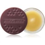 Burt's Bees Lip Treatment Cuidado de Noite Intensivo Lábios 7.08 g