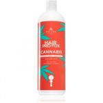 Kallos Hair Pro-tox Cannabis Shampoo Regenerador com Óleo de Cannabis 1000ml