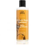 Urtekram Spicy Orange Blossom Shampoo Cabelos Secos e Danificados 250ml