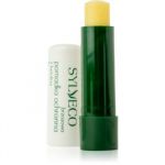 Sylveco Lip Care Bálsamo Protetor para Lábios com Manteiga de Karité 4,6g