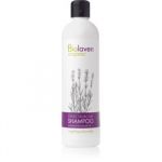 Biolaven Hair Care Shampoo Lavagem Diária com Lavanda 300ml