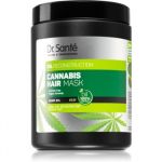 Dr. Santé Cannabis Máscara Regeneradora 1000ml