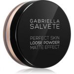 Gabriella Salvete Perfect Skin Loose Powder Pó Matificante Tom 02 6,5g
