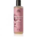 Urtekram Soft Wild Rose Shampoo Suave Cabelo Pintado 250ml