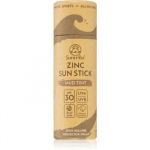Protetor Solar Suntribe Sports Zinc Stick Mineral SPF30 Tom Mud Tint 30g