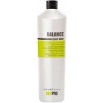 Kaypro Shampoo Controlo Oleosidade 1000ml