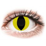 Gelflex Crazy Lens Cat Eye Yellow Diárias sem Correção (2 Lentes)