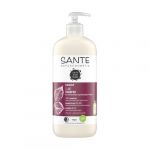 Sante Shampoo Brilho de Bétula e Proteína Vegetal 500ml
