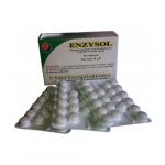 Herboplanet Enzysol 24g 60 Comprimidos