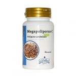 Jellybell Megapoliporus-c 60 Cápsulas