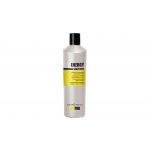 KayPro Shampoo Energy Antiqueda 350ml