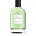 David Beckham Aromatic Greens Man Eau de Parfum 100ml (Original)