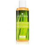 Orientana Ayurvedic Hair Shampoo Ginger & Lemongrass Shampoo Refrescante 210 ml