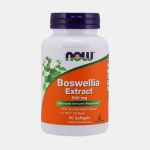 Now Boswellia Extract 500mg 90 Cápsulas