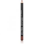 Astra Make-Up Professional Lip Pencil Delineador de Lábios Tom 41 Wood 1,1g