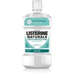 Listerine Naturals Teeth Protection Elixir Bocal 500ml