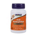 Now 4x6 Acidophilus 60 Cápsulas