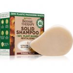 Garnier Botanic Therapy Ginger Recovery Shampoo Sólido 60g