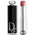 Dior Addict Gloss Recarregável Tom 422 Rose Des Vents 3,2g